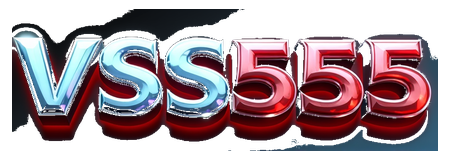 vss555 logo